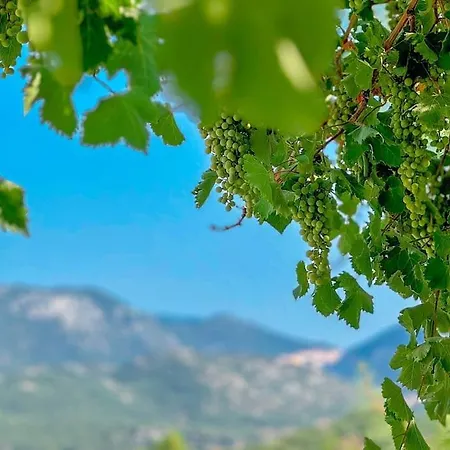 Belgin Lägenhet Kaş