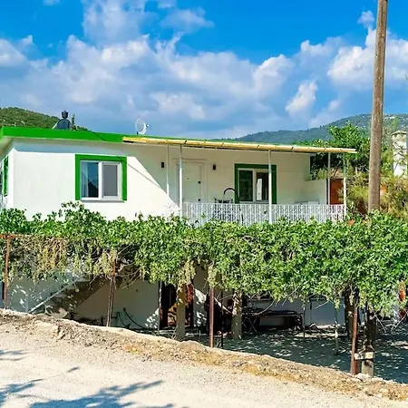 Belgin Kaş